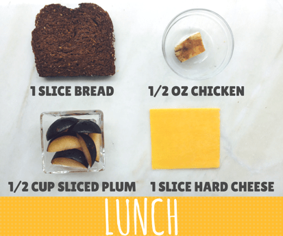 Lunch sample showing 1 slice of bread, 1/2 ounce of chicken, 1/2 cup sliced plum, 1 slice of hard cheese