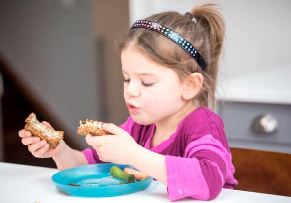 Has Your Great Eater Turned Into A Picky Eater? Here’s What You Should Do