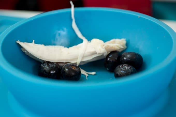 close up of finger foods such as blueberries and small pieces of soft, plain chicken in a blue bowl