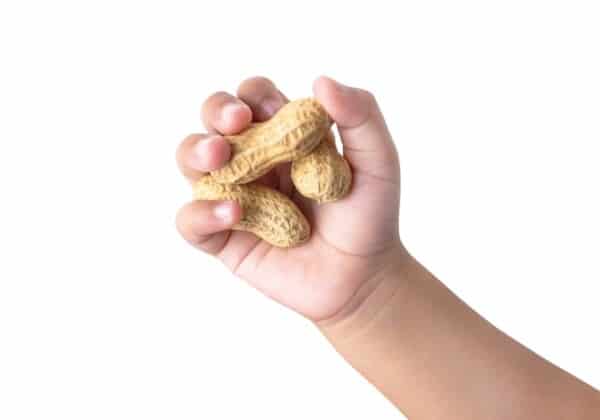 What You Need to Know About Peanut Allergies