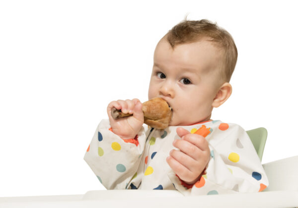Portrait of hungry baby boy with chicken leg in his hand on white isolated background.