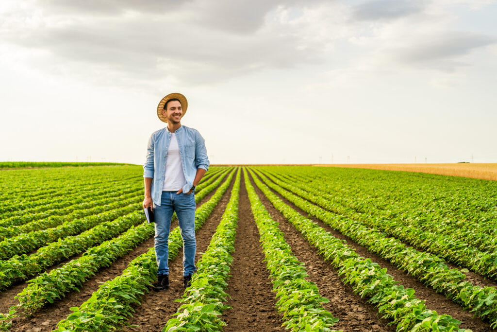Happy farmer is standing in his growing  soybean field.