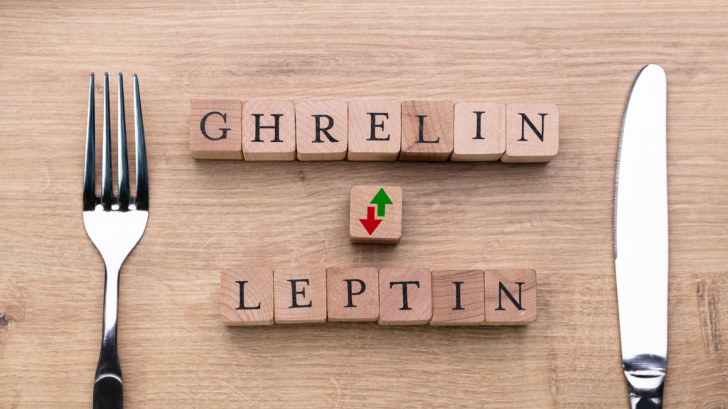 top down view of wooden blocks on a table that spell out "ghrelin" and "leptin"